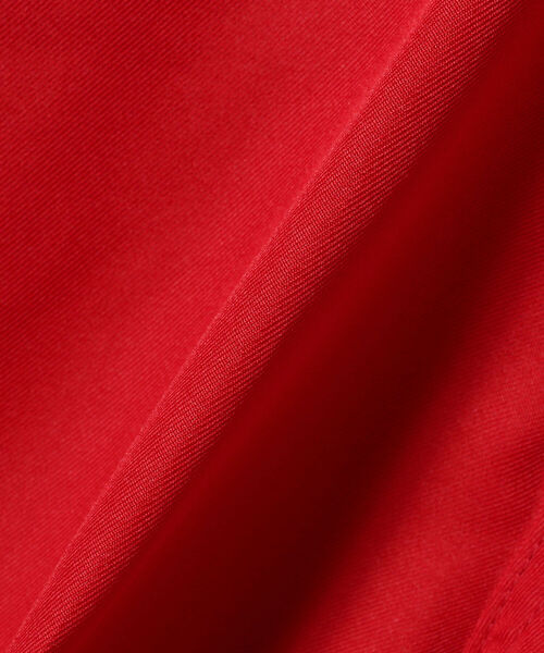 Ray BEAMS（レイビームス）の「Lee / LEENS テーパード パンツ（その他パンツ・レディース・レッド/ブラウン・SMALL/X-SMALL）」の20枚目の写真