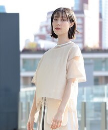 Ray BEAMS | Ray BEAMS / メッシュ リバーシブル Tシャツ(Tシャツ/カットソー)