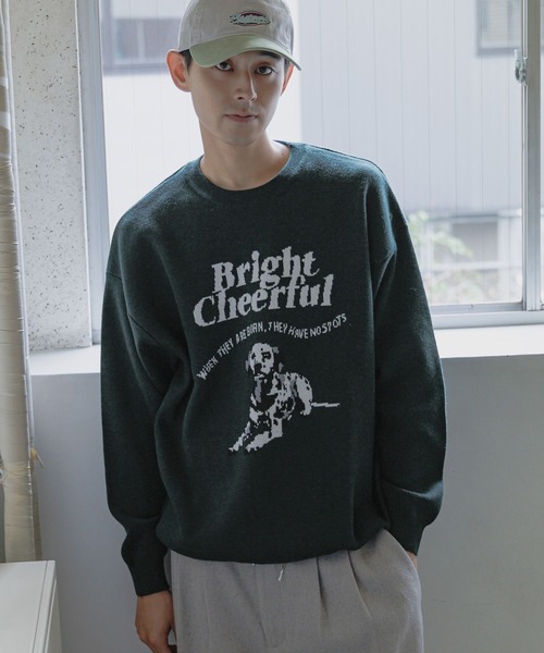 セール】アニマルダブルジャカードニットプルオーバー（ニット