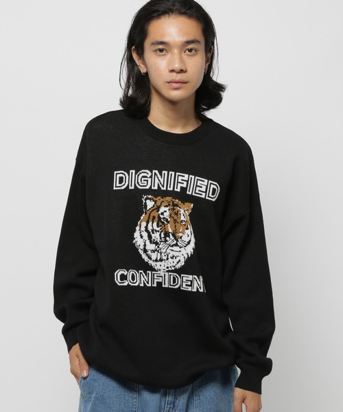 セール】アニマルダブルジャカードニットプルオーバー（ニット