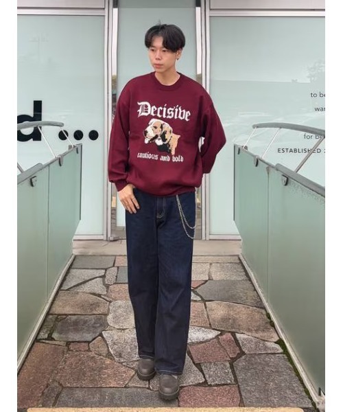 セール】アニマルダブルジャカードニットプルオーバー（ニット