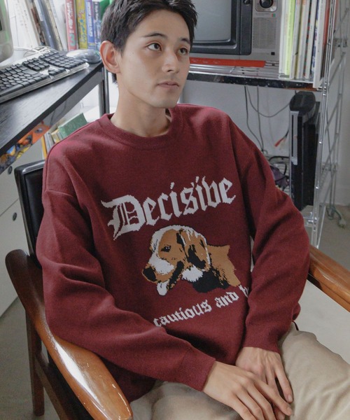 セール】アニマルダブルジャカードニットプルオーバー（ニット