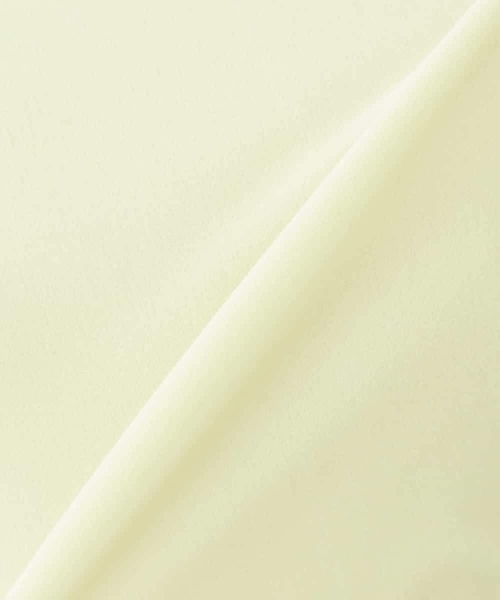 a.v.v(アーヴェヴェ)の「シアーベロアトップス(Tシャツ/カットソー・レディース・クリーム/アイボリー・36/38/40)」の7枚目の写真