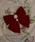 Mayree�i���C���[�j�́u�yresonance�z�x���A ���C���X�g�[��×�p�[�� �r�b�O���{���o���b�^�i�o���b�^/�w�A�N���b�v�j�v�b���b�h