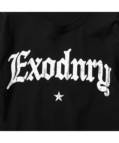 EXTRAORDINARY(エクストラオーディナリー)の「STAR LOGO LS TEE BLACK(Tシャツ/カットソー・メンズ・その他・MEDIUM/LARGE/X-LARGE)」の4枚目の写真