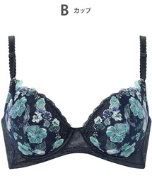 Wing(�E�C���O)�́u���p���ꂢ�u���v(�u���W���[)