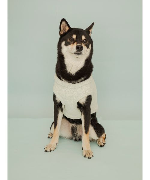 gelato pique（ジェラートピケ）の「【CAT&DOG】柴犬ジャガードプルオーバー（リード/ハーネス/首輪・レディース・ブルー/グリーン・L/XL/XXL/XXXL）」の9枚目の写真