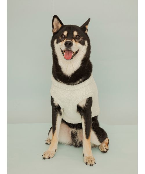 gelato pique（ジェラートピケ）の「【CAT&DOG】柴犬ジャガードプルオーバー（リード/ハーネス/首輪・レディース・ブルー/グリーン・L/XL/XXL/XXXL）」の10枚目の写真