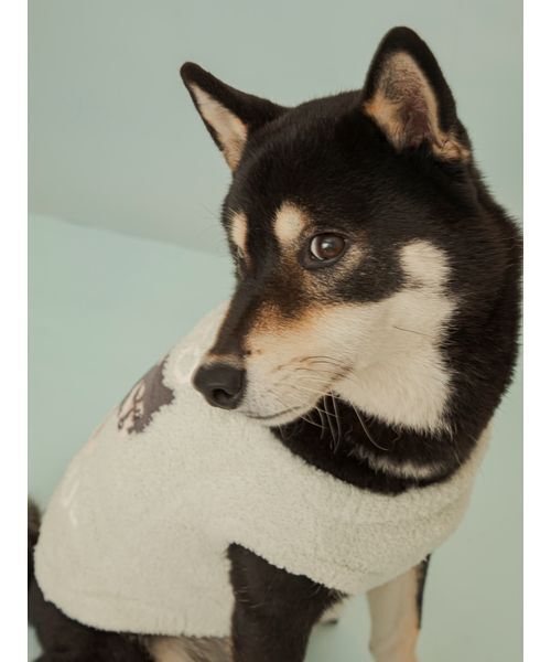 gelato pique（ジェラートピケ）の「【CAT&DOG】柴犬ジャガードプルオーバー（リード/ハーネス/首輪・レディース・ブルー/グリーン・L/XL/XXL/XXXL）」の15枚目の写真