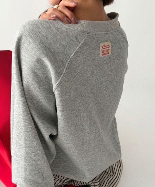 HEILIS(ヘイリス)の「Vネックスウェットトップス/スウェット スウェットトップス Vネックスウェット Vネック 長袖トップス トレーナー プルオーバー オーバーサイズ ワンポイント バックデザイン 韓国ファッション カジュアル ストリート ノームコア レイヤード デイリー 秋服 冬服 ライトイエロー グレー チャコールグレー(スウェット・レディース・ライトイエロー/グレー/チャコールグレー・FREE)」の6枚目の写真