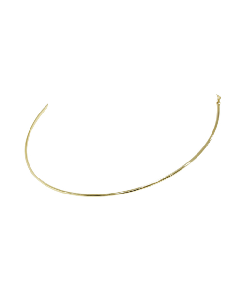 EIMY ISTOIRE（エイミーイストワール）の「gf back chain choker（ネックレス・レディース・ゴールド・FREE）」の8枚目の写真