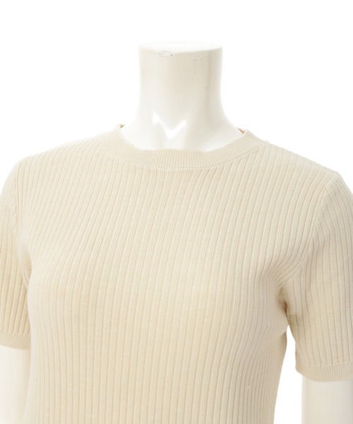 fifth（フィフス）の「クルーネックコンパクト半袖リブニット（ニット/セーター・レディース・ホワイト/ベージュ・MEDIUM）」の7枚目の写真
