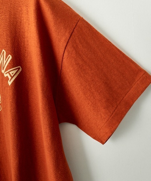 THE SHINZONE（ザ　シンゾーン）の「[THE SHINZONE/ザ シンゾーン] AMERICANAコラボレーション カレッジロゴプリントTシャツ（Tシャツ/カットソー・レディース・ブラック/ホワイト/ブラウン・0）」の5枚目の写真