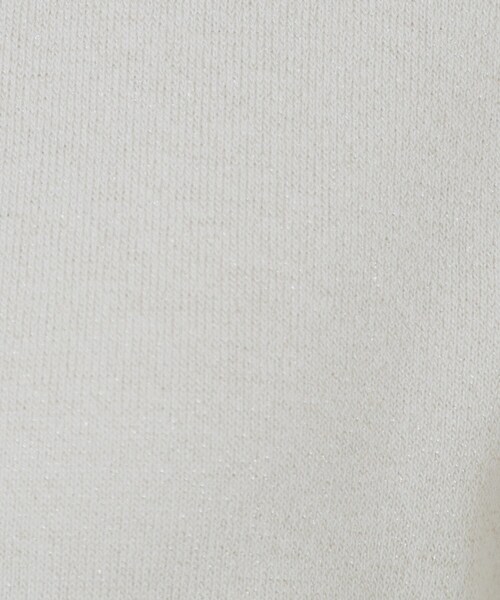 index（インデックス）の「ラメバイカラー半袖カーディガン【洗濯機洗い可】（カーディガン/ボレロ・レディース・シルバー系4/ゴールド系4/チャコール・36/38/40/42）」の17枚目の写真