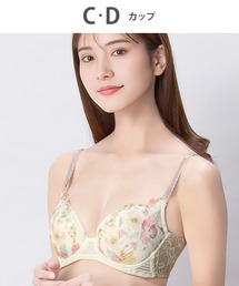 Wing(�E�C���O)�́u���p���ꂢ�u���v(�u���W���[)