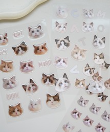 Jelly moo（ジェリームー）の「【 Jelly moo / ジェリームー 】 ３枚入り ぷっくり & ノーマル 猫フェイス ステッカー / シール（ステッカー/テープ）」