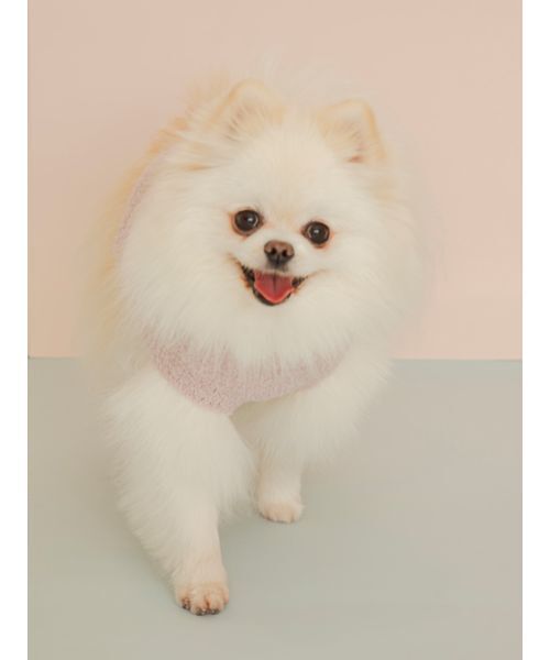 gelato pique（ジェラートピケ）の「【CAT&DOG】ポメラニアジャガードプルーバー（リード/ハーネス/首輪・レディース・ブルー/ピンク・S/M）」の14枚目の写真