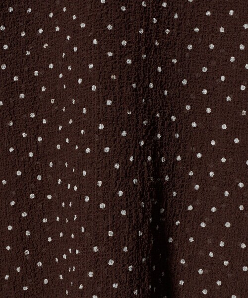 BEAUTY&YOUTH UNITED ARROWS（ビューティーアンドユースユナイテッドアローズ）の「ポリエステル ドット シアー ブラウス ウォッシャブル（シャツ/ブラウス・レディース・ダークブラウン/ブラック/オフホワイト・FREE）」の16枚目の写真