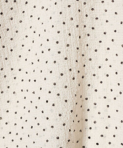 BEAUTY&YOUTH UNITED ARROWS（ビューティーアンドユースユナイテッドアローズ）の「ポリエステル ドット シアー ブラウス ウォッシャブル（シャツ/ブラウス・レディース・ダークブラウン/ブラック/オフホワイト・FREE）」の19枚目の写真