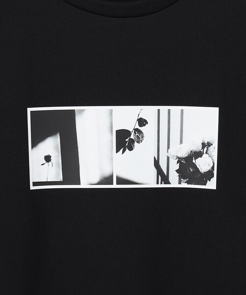 ICB(アイシービー)の「クロップド ロゴTEE(フォトプリント)(Tシャツ/カットソー・レディース・ブラック系/アイボリー系・MEDIUM/X-SMALL/SMALL)」の16枚目の写真
