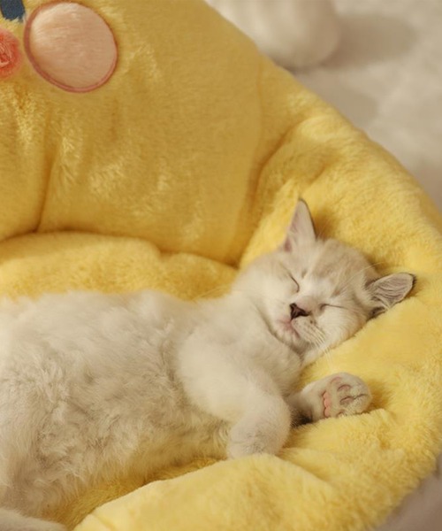 モコモコ雛ペットクッション(ペット用クッション/マット)|aimoha(アイモハ) モコモコ雛ペットクッション(ペット用クッション/マット)|aimoha(アイモハ)