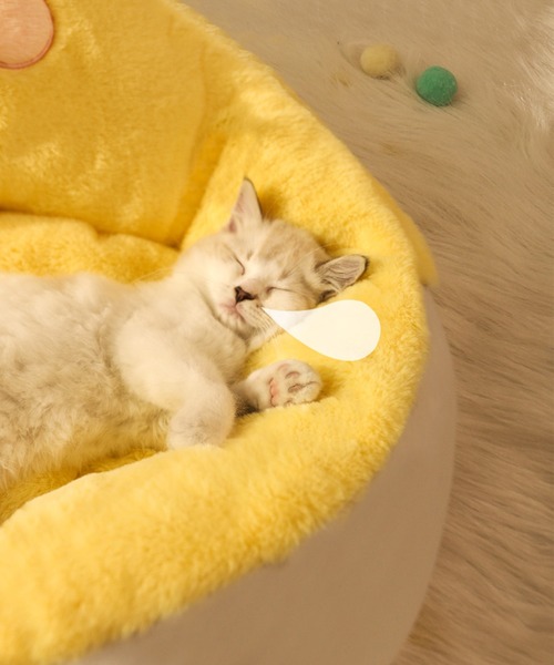 モコモコ雛ペットクッション(ペット用クッション/マット)|aimoha(アイモハ) モコモコ雛ペットクッション(ペット用クッション/マット)|aimoha(アイモハ)