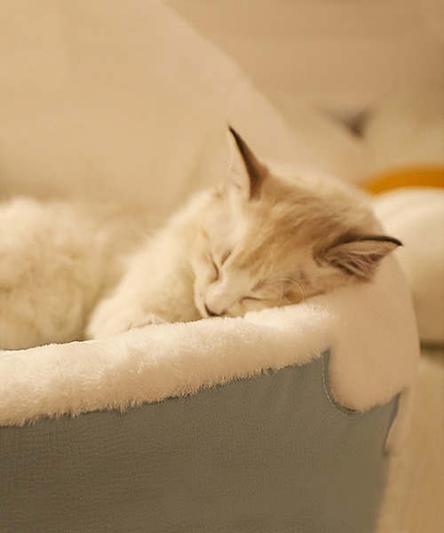 モコモコ雛ペットクッション(ペット用クッション/マット)|aimoha(アイモハ) モコモコ雛ペットクッション(ペット用クッション/マット)|aimoha(アイモハ)