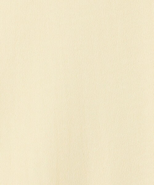 EDITION（エディション）の「ツイストシアー ハーフスリーブトップス（Tシャツ/カットソー・レディース・ブラック/ライトイエロー・FREE）」の11枚目の写真