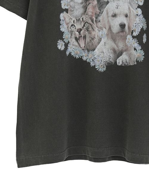 Candy Stripper（キャンディストリッパー）の「DOGS N' CATS ROCK Tシャツ（Tシャツ/カットソー・レディース・ライトブルー/オフホワイト/ブラック・FREE）」の7枚目の写真