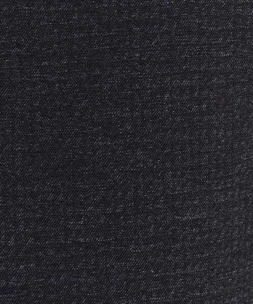 ダウンライナー付き】ドビースタンドカラーコート（その他アウター