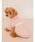 gelato pique�i�W�F���[�g�s�P�j�́u�yCAT&DOG�z���S�v�����g���уv���I�[�o�[�i���[�h/�n�[�l�X/��ցj�v�b�s���N
