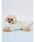 gelato pique�i�W�F���[�g�s�P�j�́u�yCAT&DOG�z���S�v�����g���уv���I�[�o�[�i���[�h/�n�[�l�X/��ցj�v�b���C��