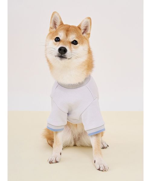 gelato pique(ジェラートピケ)の「【CAT&DOG】ロゴプリント裏毛プルオーバー(リード/ハーネス/首輪・レディース・ライム/ピンク/オレンジ/ブルー・S/M/L)」の7枚目の写真