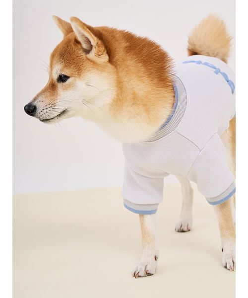gelato pique(ジェラートピケ)の「【CAT&DOG】ロゴプリント裏毛プルオーバー(リード/ハーネス/首輪・レディース・ライム/ピンク/オレンジ/ブルー・S/M/L)」の8枚目の写真