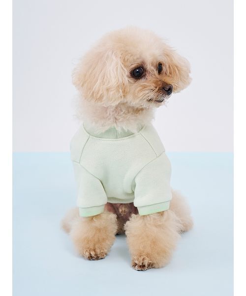 gelato pique(ジェラートピケ)の「【CAT&DOG】ロゴプリント裏毛プルオーバー(リード/ハーネス/首輪・レディース・ライム/ピンク/オレンジ/ブルー・S/M/L)」の10枚目の写真