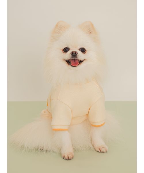 gelato pique(ジェラートピケ)の「【CAT&DOG】ロゴプリント裏毛プルオーバー(リード/ハーネス/首輪・レディース・ライム/ピンク/オレンジ/ブルー・S/M/L)」の13枚目の写真