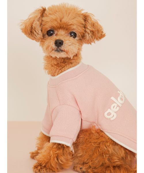 gelato pique(ジェラートピケ)の「【CAT&DOG】ロゴプリント裏毛プルオーバー(リード/ハーネス/首輪・レディース・ライム/ピンク/オレンジ/ブルー・S/M/L)」の14枚目の写真