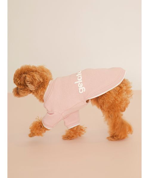 gelato pique(ジェラートピケ)の「【CAT&DOG】ロゴプリント裏毛プルオーバー(リード/ハーネス/首輪・レディース・ライム/ピンク/オレンジ/ブルー・S/M/L)」の15枚目の写真