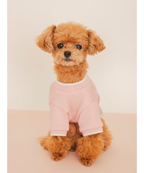gelato pique(ジェラートピケ)の「【CAT&DOG】ロゴプリント裏毛プルオーバー(リード/ハーネス/首輪・レディース・ライム/ピンク/オレンジ/ブルー・S/M/L)」の16枚目の写真