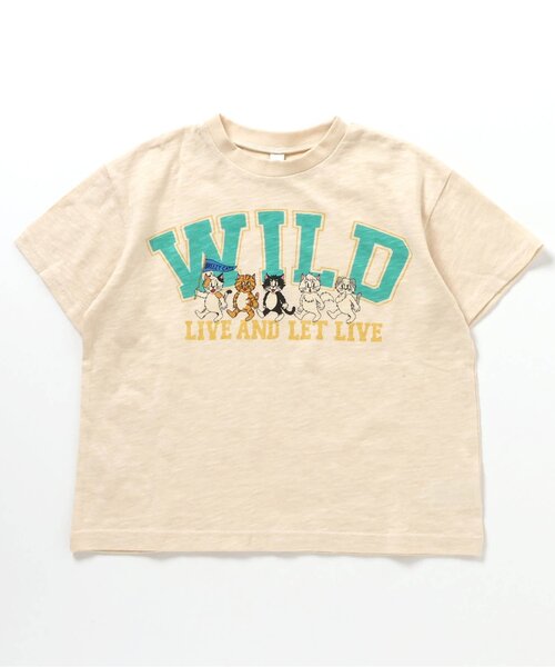 BREEZE(ブリーズ)の「【リンク】BREEZY CATS イラスト半袖Tシャツ(Tシャツ/カットソー・キッズ・キナリ/グレー/ターコイズブルー/レッド・80/90/100/110/120/130/140)」の16枚目の写真