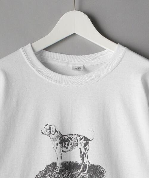 niche.（ニッチ）の「＜Niche. (ニッチ) ＞ DOG L/TEE