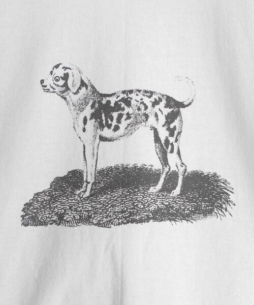 犬人間ニョンズ Tシャツ sizeXL ホワイト 中古品 楽天市場】ALDAYS (オルデイズ) いぬ好きな人のDOG PERSON-T