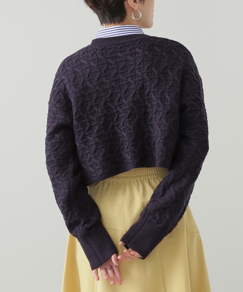 N.(N. Natural Beauty Basic)(エヌエヌナチュラルビューティーベーシック)の「【横田ひかるさん着用】◆ショートレングスパターンニット(ニット/セーター・レディース・オフホワイト/グリーン/ネイビー・MEDIUM)」の4枚目の写真