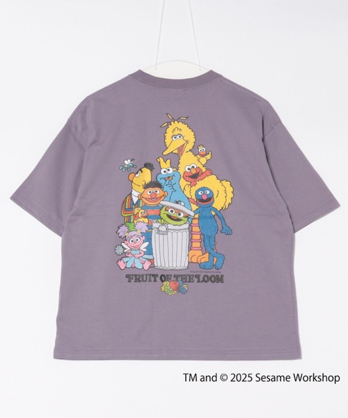 FRUIT OF THE LOOM(フルーツオブザルーム)の「SESAME STREET×FTL Illust T-Shirt D / コラボ / セサミストリート / 半袖 / バック / キャラクター / イラスト / プリント / ワンポイント / ロゴ / ユニセックス(Tシャツ/カットソー・メンズ・ライトベージュ/バイオレット・S/M/L)」の10枚目の写真