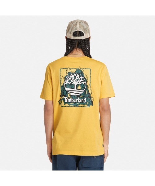 【Timberland】バックグラフィック 半袖 Tシャツ / 送料無料 セール】メンズ 半袖 バックグラフィック Tシャツ（Tシャツ