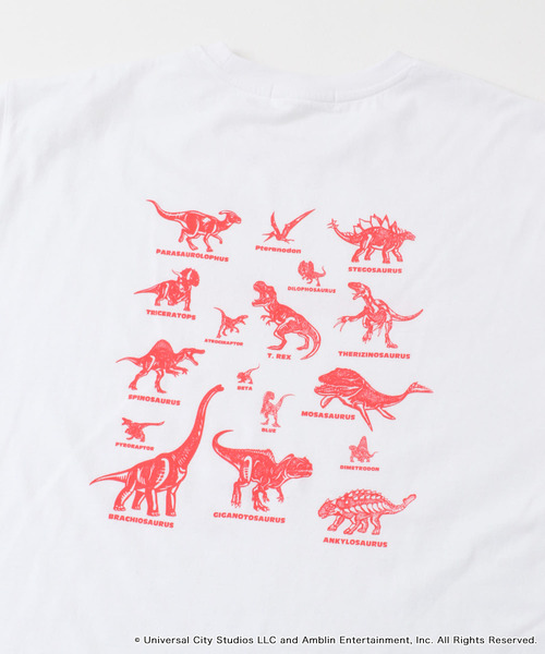 SENSE OF PLACE by URBAN RESEARCH（センスオブプレイスバイアーバンリサーチ）の「『別注』Jurassic World×SENSE OF PLACE　T-SHIRTS/A（Tシャツ/カットソー・メンズ・ブラック/ホワイト/ネイビー・LARGE/MEDIUM）」の7枚目の写真