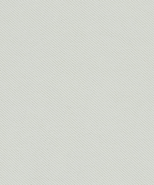 Wacky WiLLy（ワッキーウィリー）の「ベーシックタイポロゴスウェットクリーム（スウェット・レディース・その他・SMALL/MEDIUM/LARGE/X-LARGE）」の8枚目の写真
