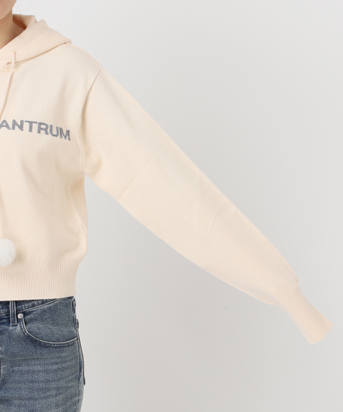 Oriens JOURNAL STANDARD(オリエンス ジャーナルスタンダード)の「レタリングニットフーディー(ニット/セーター・レディース・ネイビー/ホワイト・FREE)」の20枚目の写真