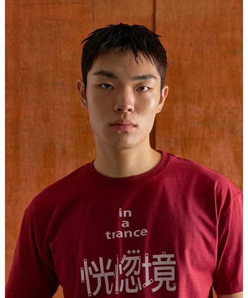 mydeepbluememories(マイディープブルーメモリーズ)の「A TRANCE T-SHIRTS (BURGUNDY)(Tシャツ/カットソー・レディース・バーガンディー・FREE)」の2枚目の写真