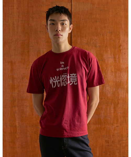 mydeepbluememories(マイディープブルーメモリーズ)の「A TRANCE T-SHIRTS (BURGUNDY)(Tシャツ/カットソー・レディース・バーガンディー・FREE)」の3枚目の写真